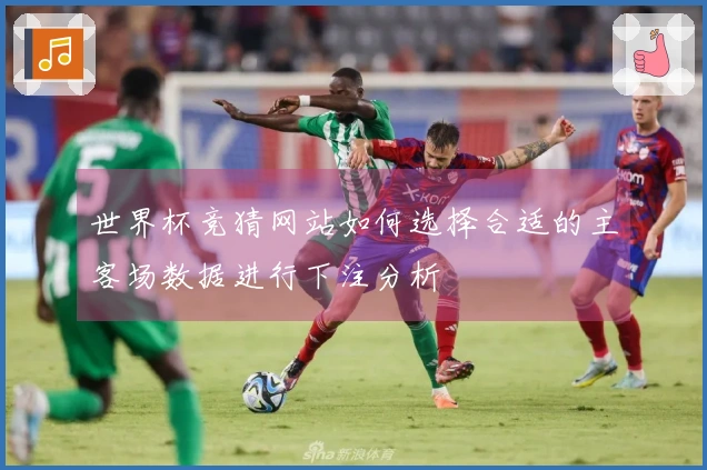 世界杯竞猜网站如何选择合适的主客场数据进行下注分析
